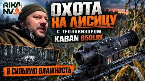 Охота на лисицу с RikaNV Kaban 650 LRF в сильную влажность