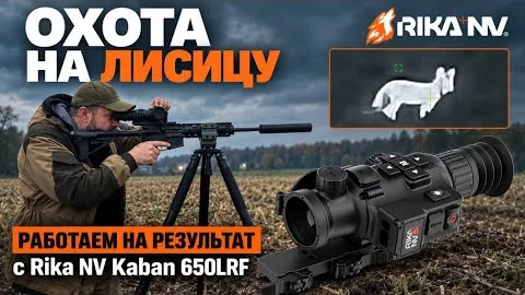 Охота на лисицу с RikaNV Kaban 650 LRF: работаем на результат